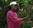 Naomi Osaka revine în tenis la șase luni după ce-a născut » Înainte de turneul de la Brisbane a vizitat urșii koala
