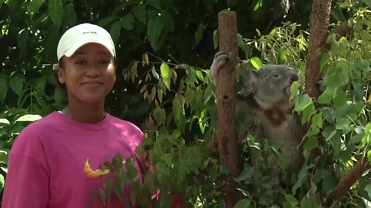 Naomi Osaka revine în tenis la șase luni după ce-a născut » Înainte de turneul de la Brisbane a vizitat urșii koala