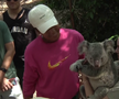 Naomi Osaka a fost fastinată de urșii koala