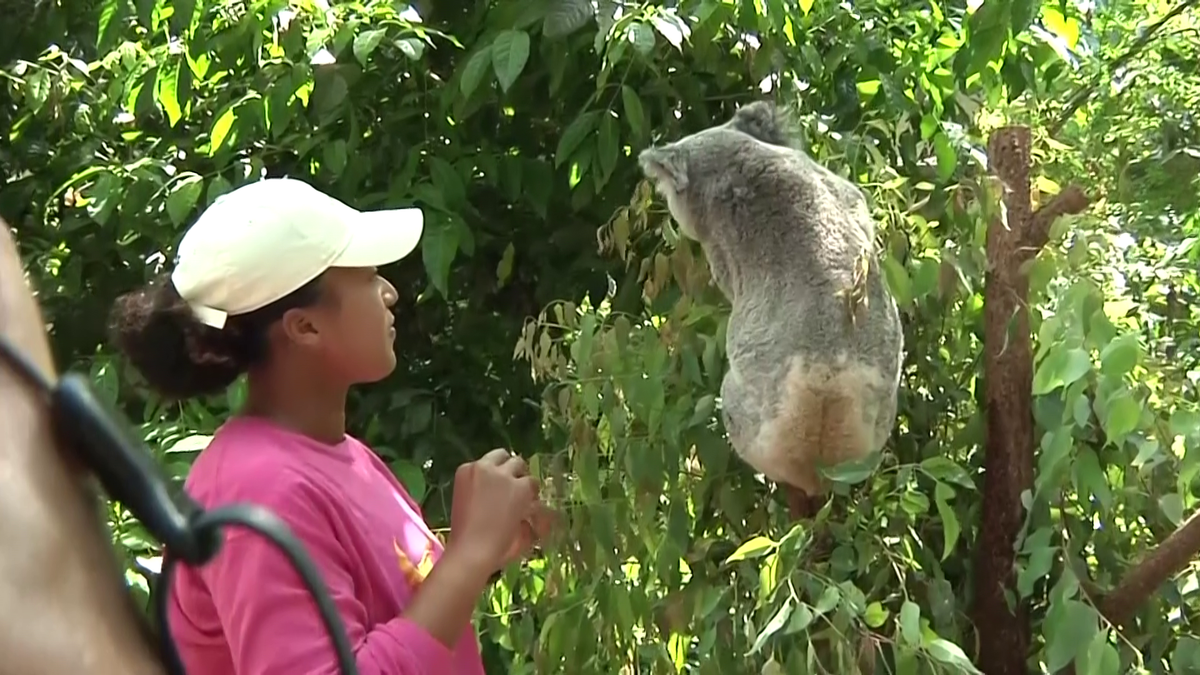Naomi Osaka a fost fastinată de urșii koala
