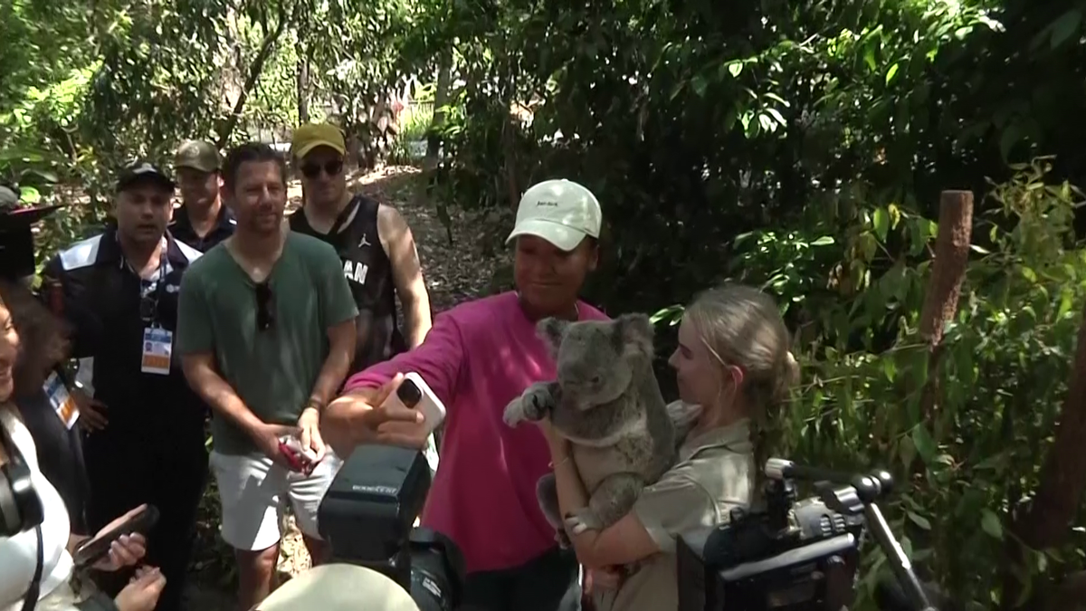 Naomi Osaka a fost fastinată de urșii koala