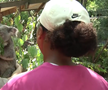 Naomi Osaka a fost fastinată de urșii koala