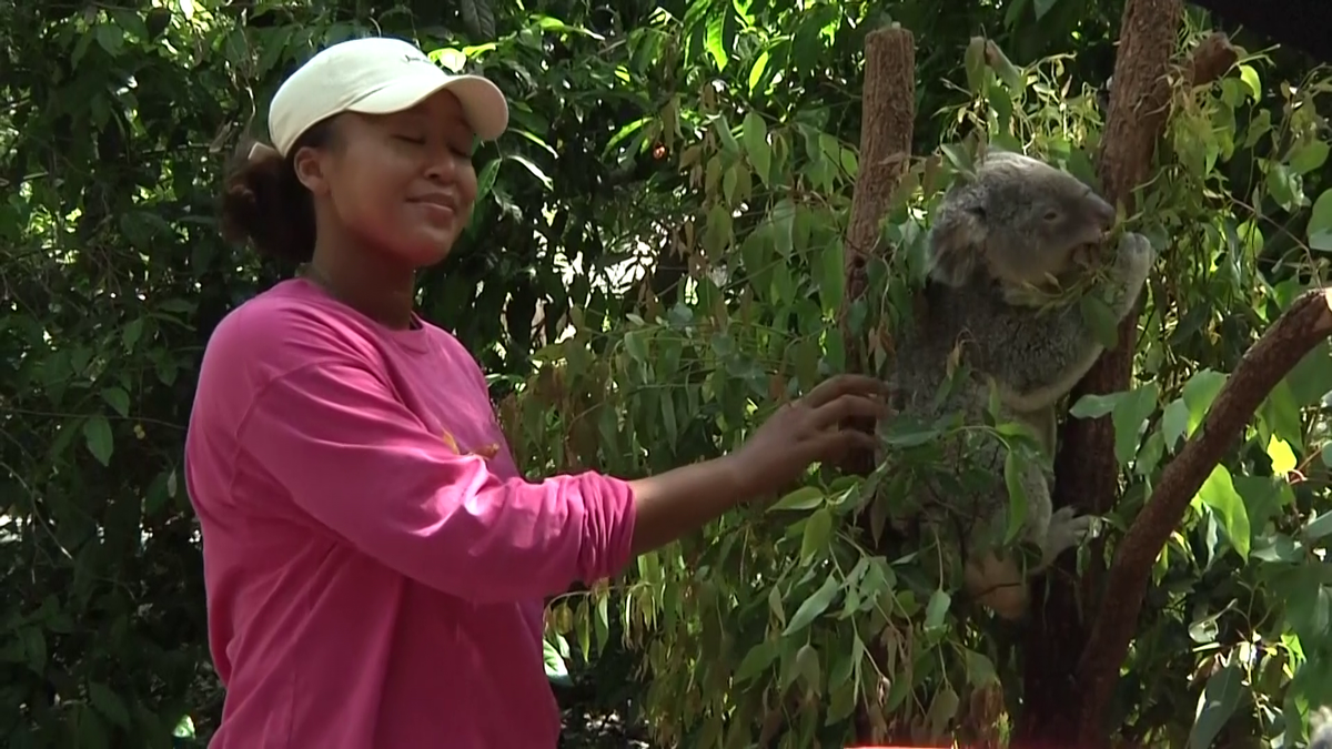 Naomi Osaka a fost fastinată de urșii koala