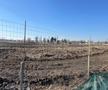 Undă verde pentru două stadioane din România » Premierul a făcut anunțul: costuri de 175 de milioane de euro