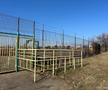 Undă verde pentru două stadioane din România » Premierul a făcut anunțul: costuri de 175 de milioane de euro