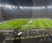 FCSB - Manchester United, foto: Ionuț Iordache