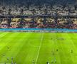 Ce s-a întâmplat pe teren după FCSB - Fenerbahce/ foto: Adrian Duță (GSP)