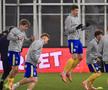 Dinamo - Petrolul, imagini dinaintea partidei // foto: Ionuț Iordache (GSP)