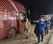 Dinamo - Petrolul, imagini dinaintea partidei