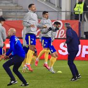 Dinamo - Petrolul, imagini dinaintea partidei // foto: Ionuț Iordache (GSP)
