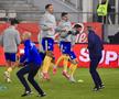 Dinamo - Petrolul, imagini dinaintea partidei // foto: Ionuț Iordache (GSP)