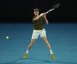 Novak Djokovic - Jannik Sinner, a doua semifinală de la Australian Open/Foto: Getty Images
