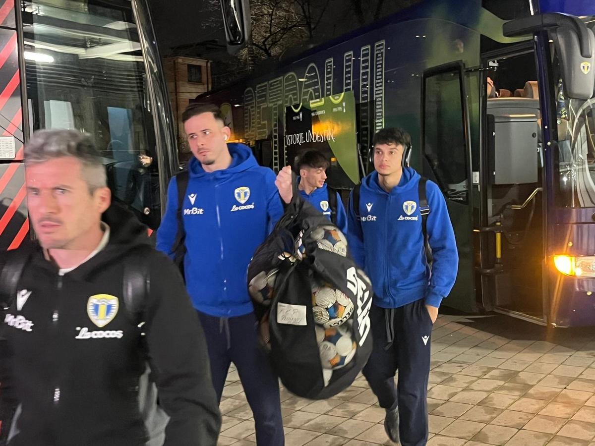 Dinamo - Petrolul, imagini dinaintea partidei