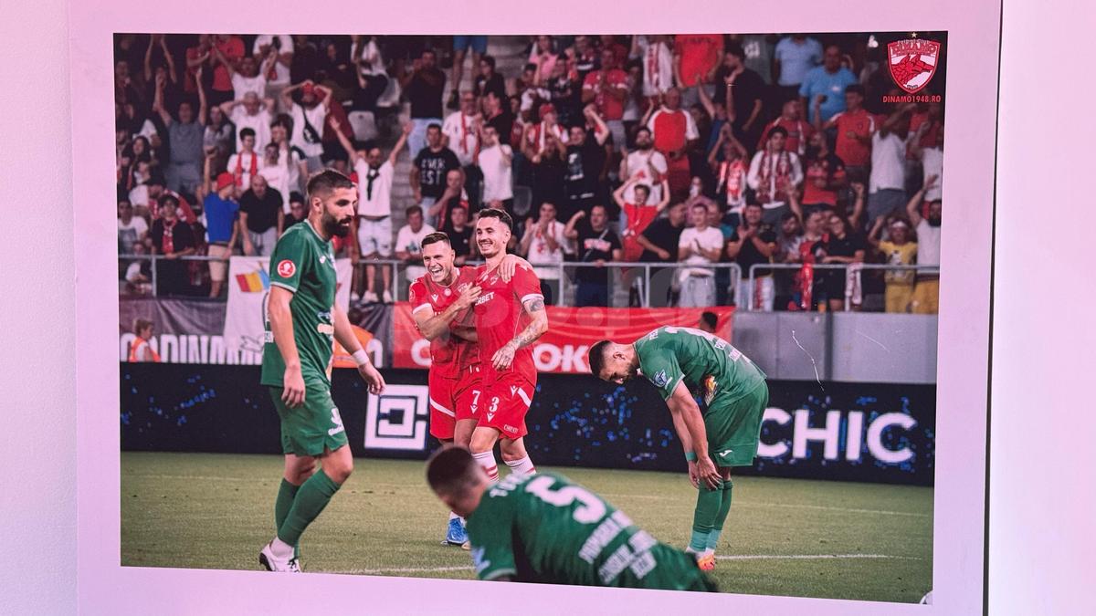 Insider în lojile de la Dinamo - FCSB » Cum arată meniul și ce au lipit „câinii” pe pereți