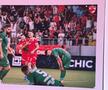 Insider în lojile de la Dinamo - FCSB » Cum arată meniul și ce au lipit „câinii” pe pereți