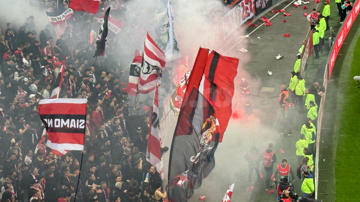 Scenografiile de la Dinamo - FCSB