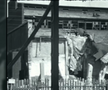 Stadionul Giulești și Gara de Nord au fost bombardate în 1944. FOTO: captură TVR Sport