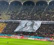 Scenografia FCSB