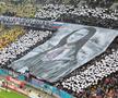 Scenografia FCSB