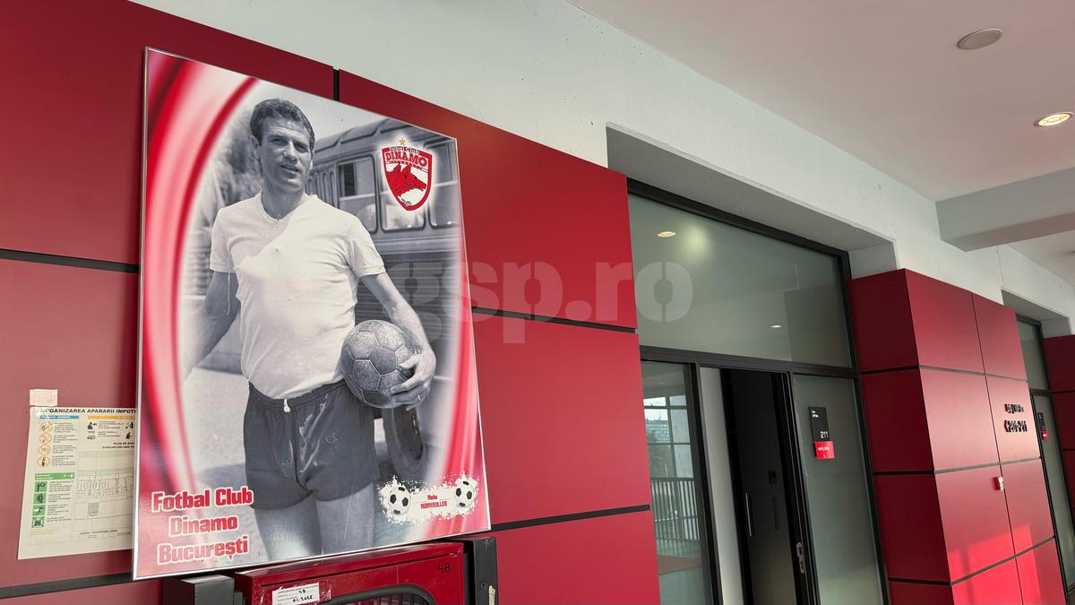 Insider în lojile de la Dinamo - FCSB » Cum arată meniul și ce au lipit „câinii” pe pereți