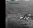 Stadionul Giulești și Gara de Nord au fost bombardate în 1944. FOTO: captură TVR Sport