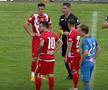 Scandal în Dinamo - Academica Clinceni