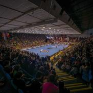 Rapid - Vipers, meciul tur din sferturile Ligii Campionilor la handbal feminin (foto: Raed Krishan/GSP)