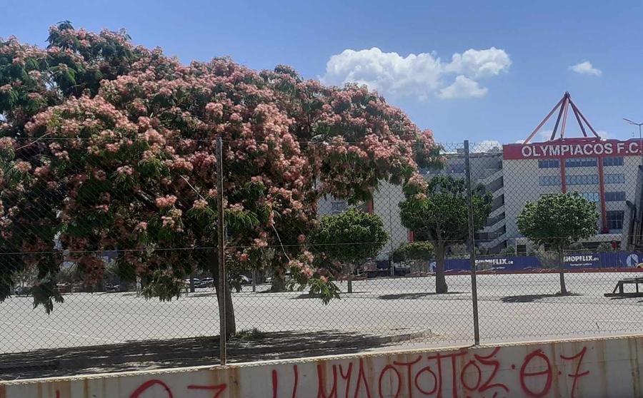 Așa e la Atena. Așa va fi mereu?
