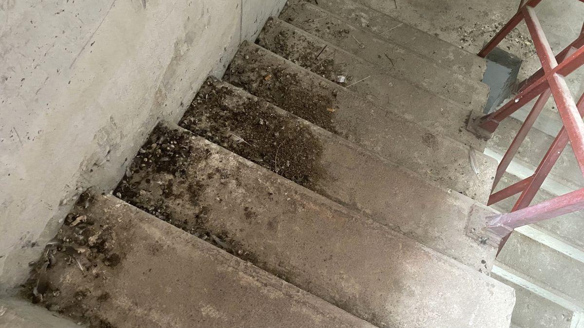 Cum a distrus Primăria București o bază sportivă » Dezastru lângă Arena Națională: „Un focar de infecție”