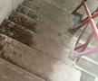 Scările de acces spre terasă sunt pline cu excremente de la păsări