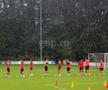 Pintilii sau Charalambous: cine e adevăratul A1 la FCSB? GSP a urmărit antrenamentele „roș-albaștrilor” din Olanda și a obținut răspunsul