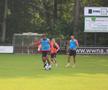Pintilii sau Charalambous: cine e adevăratul A1 la FCSB? GSP a urmărit antrenamentele „roș-albaștrilor” din Olanda și a obținut răspunsul