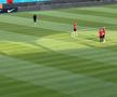 FCSB - Shkendija se joacă pe un gazon impecabil. Foto: Andrei Crăițoiu (GSP.RO)