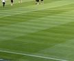 FCSB - Shkendija se joacă pe un gazon impecabil. Foto: Andrei Crăițoiu (GSP.RO)