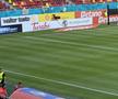 FCSB - Shkendija se joacă pe un gazon impecabil. Foto: Andrei Crăițoiu (GSP.RO)