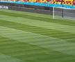 FCSB - Shkendija se joacă pe un gazon impecabil. Foto: Andrei Crăițoiu (GSP.RO)