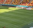 FCSB - Shkendija se joacă pe un gazon impecabil. Foto: Andrei Crăițoiu (GSP.RO)