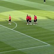 FCSB - Shkendija se joacă pe un gazon impecabil. Foto: Andrei Crăițoiu (GSP.RO)