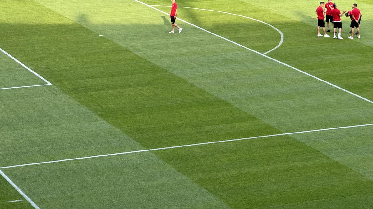 Gazon Arena Nationala 30 iulie