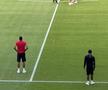 FCSB - Shkendija se joacă pe un gazon impecabil. Foto: Andrei Crăițoiu (GSP.RO)