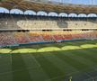 FCSB - Shkendija se joacă pe un gazon impecabil. Foto: Andrei Crăițoiu (GSP.RO)