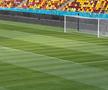 FCSB - Shkendija se joacă pe un gazon impecabil. Foto: Andrei Crăițoiu (GSP.RO)