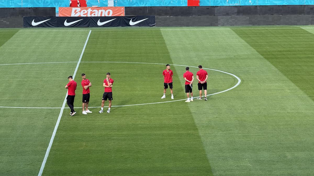 Gazon Arena Nationala 30 iulie