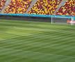 FCSB - Shkendija se joacă pe un gazon impecabil. Foto: Andrei Crăițoiu (GSP.RO)