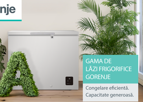 Mai mult spațiu, mai puține griji: soluțiile inteligente Gorenje pentru păstrarea alimentelor congelate