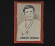 Gheorghe Berceanu - In memoriam