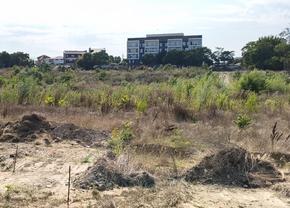 Pădurea „Gheorghe Hagi”: cum arată „stadionul” din Constanța la 3 ani după demolare și zeci de promisiuni pentru startul lucrărilor