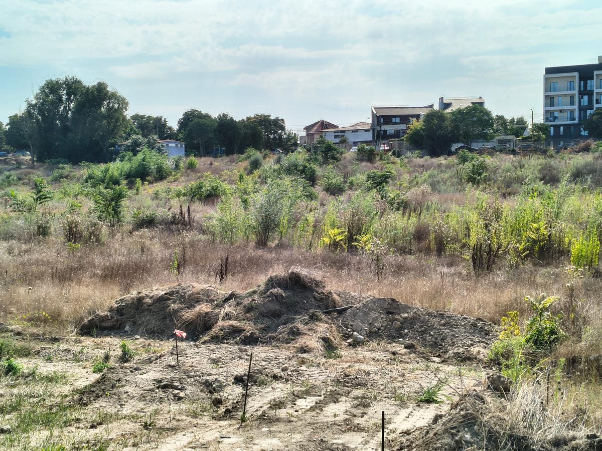 Stadion Gheorghe Hagi Constanța - „pădure” iulie 2026