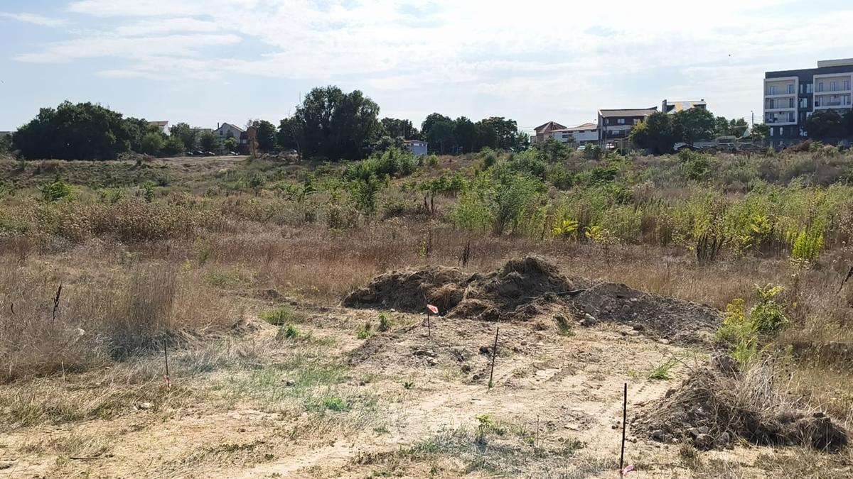 Stadion Gheorghe Hagi Constanța - „pădure” iulie 2026