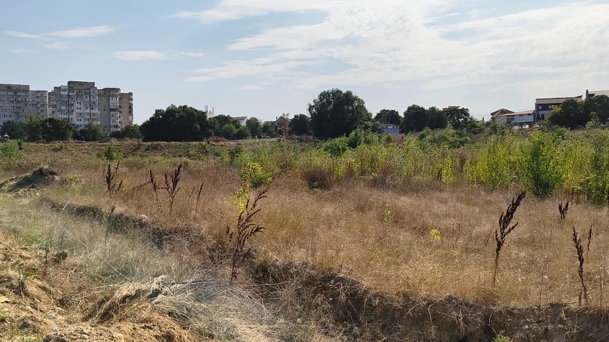Pădurea „Gheorghe Hagi”: cum arată „stadionul” din Constanța la 3 ani după demolare și zeci de promisiuni pentru startul lucrărilor